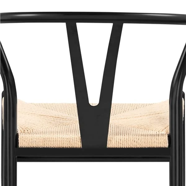 Abician Lot de 2 Chaises de Salle à Manger Corde de Papier Cadre en Métal Ensemble de Chaises en Corde Intérieur Dossier Demi-Circulaire Cuisine Salon 54,5 × 57 × 73,5 cm Noir