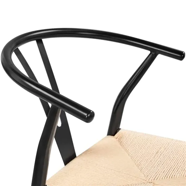 Abician Lot de 2 Chaises de Salle à Manger Corde de Papier Cadre en Métal Ensemble de Chaises en Corde Intérieur Dossier Demi-Circulaire Cuisine Salon 54,5 × 57 × 73,5 cm Noir