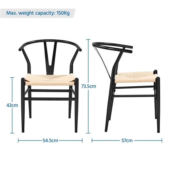 Abician Lot de 2 Chaises de Salle à Manger Corde de Papier Cadre en Métal Ensemble de Chaises en Corde Intérieur Dossier Demi-Circulaire Cuisine Salon 54,5 × 57 × 73,5 cm Noir