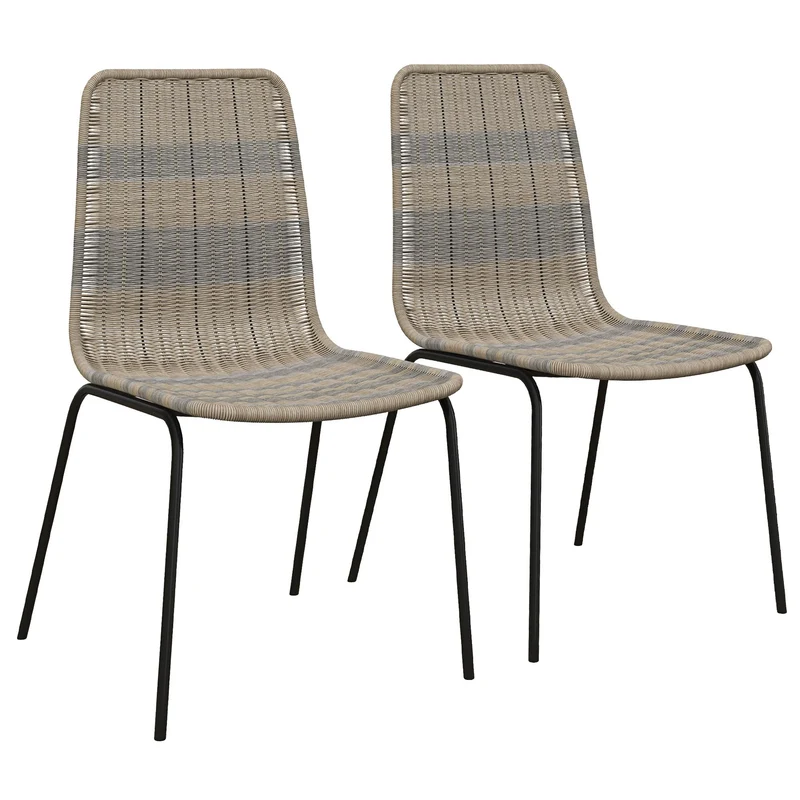 HOMCOM Lot de 2 chaises de Salle à Manger élégantes Chaise de Cuisine Chaise rotin piètement Acier, pour Salle à Manger, Salon, Cuisine
