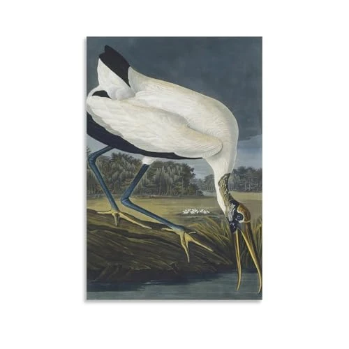REDCHAMBER Poster d'oiseau américain John James Audubon Cigogne Décoration d'intérieur Poster Art mural à suspendre Peinture décorative Affiches 60 x 90 cm