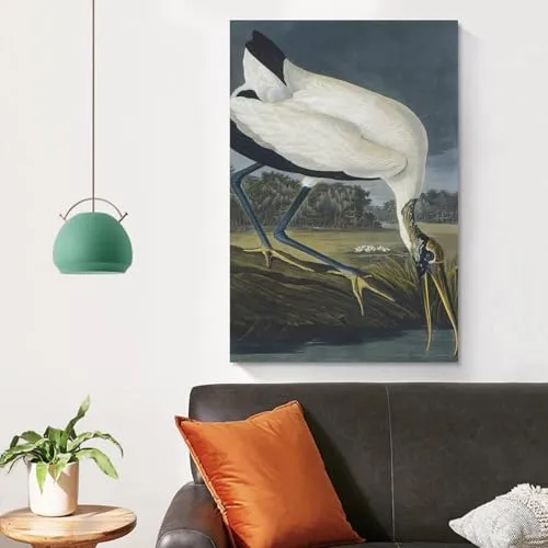 REDCHAMBER Poster d'oiseau américain John James Audubon Cigogne Décoration d'intérieur Poster Art mural à suspendre Peinture décorative Affiches 60 x 90 cm