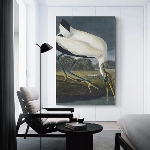 REDCHAMBER Poster d'oiseau américain John James Audubon Cigogne Décoration d'intérieur Poster Art mural à suspendre Peinture décorative Affiches 60 x 90 cm