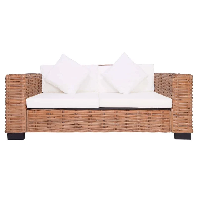 vidaXL Canapé à 2 Places de Jardin Résine Tressée Meuble de Patio Canapé Extérieur Mobilier de Jardin Terrasse Cour Salon Intérieur