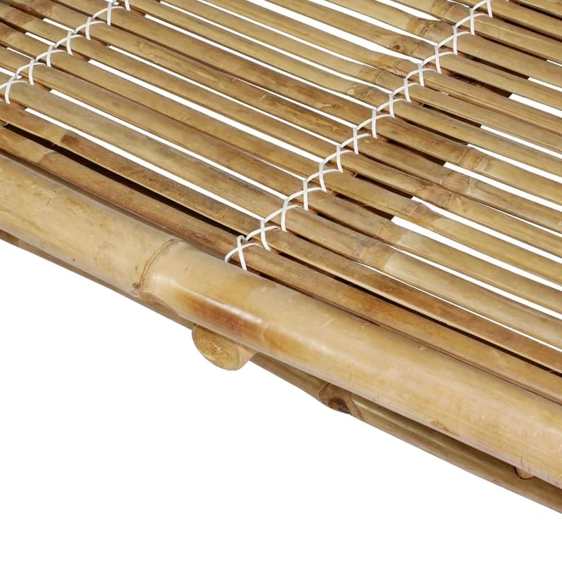 vidaXL Chaise Longue à 2 Places avec Dossier Réglable Transat Bain de Soleil