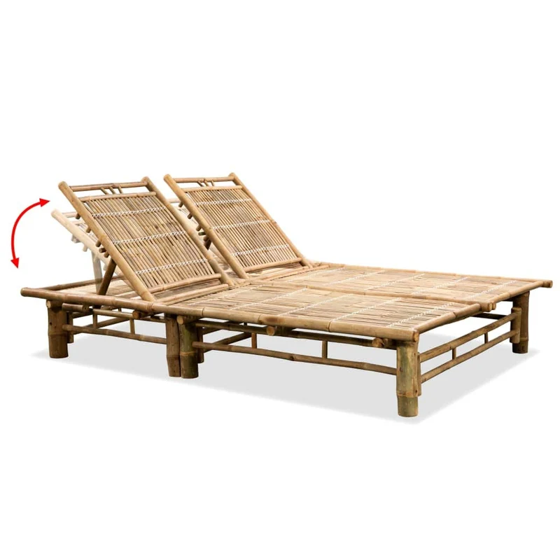 vidaXL Chaise Longue à 2 Places avec Dossier Réglable Transat Bain de Soleil