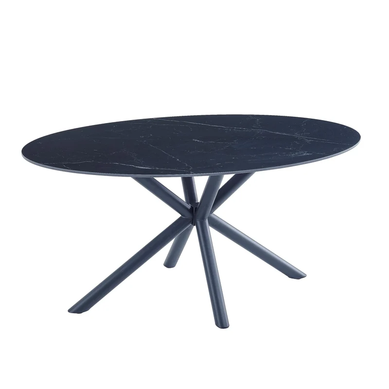 Casa Vital Melisana Table de salle à manger ovale en pierre frittée avec pieds en métal Noir mat 160 x 90 x 76 cm Charge maximale 50 kg