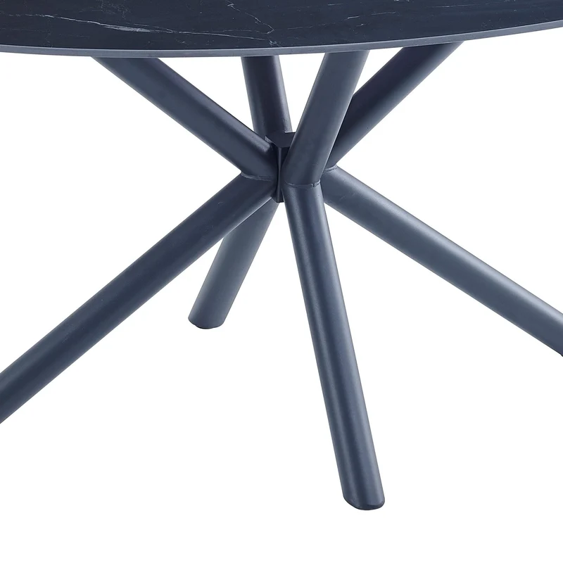 Casa Vital Melisana Table de salle à manger ovale en pierre frittée avec pieds en métal Noir mat 160 x 90 x 76 cm Charge maximale 50 kg