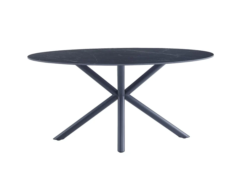 Casa Vital Melisana Table de salle à manger ovale en pierre frittée avec pieds en métal Noir mat 160 x 90 x 76 cm Charge maximale 50 kg