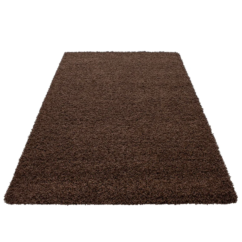 HomebyHome Tapis Salon 200x300 Moderne Tapis Chambre Adulte Tapis Marron 200x290 cm - Tapis Shaggy Salle de Séjour Tapis Poil Long Concevoir Unicolore Tapis Doux Moelleux Tapis Cuisine Moquette Salon