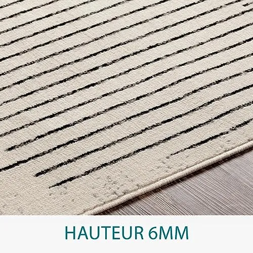 Livabliss Nairobi Tapis Géométrique Scandinave - Grand Tapis Salon, Salle à Manger, Chambre, Cuisine - Design Boheme Chic, Berbere Moderne, Poil Court 200x274 cm - Ivoire, Noir