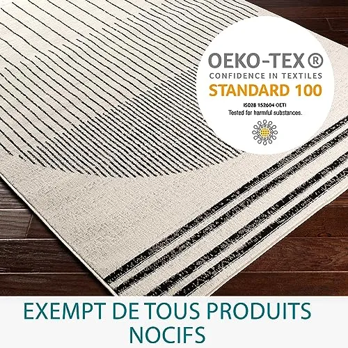 Livabliss Nairobi Tapis Géométrique Scandinave - Grand Tapis Salon, Salle à Manger, Chambre, Cuisine - Design Boheme Chic, Berbere Moderne, Poil Court 200x274 cm - Ivoire, Noir