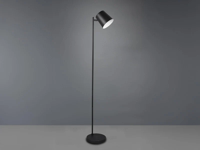 Reality Leuchten RL LIVE YOUR LIGHT Lampadaire LED Blake R42111132 en métal noir mat avec LED 4,5 W, fonctionnement sur batterie, port USB avec fonction de charge