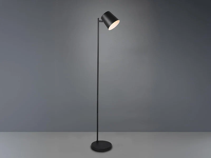 Reality Leuchten RL LIVE YOUR LIGHT Lampadaire LED Blake R42111132 en métal noir mat avec LED 4,5 W, fonctionnement sur batterie, port USB avec fonction de charge