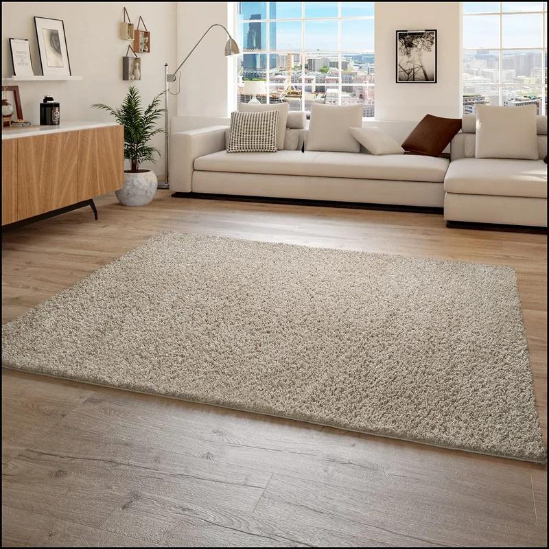 Paco Home Tapis Poils Longs, Shaggy pour Salon, Doux Moelleux Résistant Robuste, Dimension:200x280 cm, Couleur:Beige