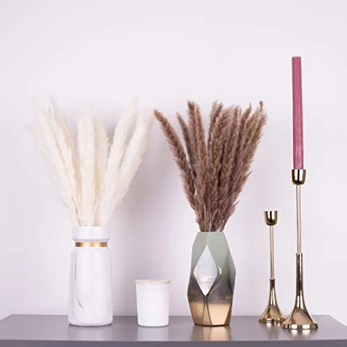 KØZY LIVING Herbe de la pampa séchée réellement – Parfait comme fleur décorative, fleurs séchées – Petites, env. 55 cm de long – Blanc