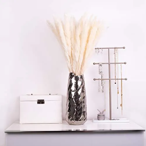 KØZY LIVING Herbe de la pampa séchée réellement – Parfait comme fleur décorative, fleurs séchées – Petites, env. 55 cm de long – Blanc