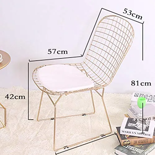 QIAOJUNJUN Nordic créatif ajouré Chaise en Fil de Fer barbelé Personnalité Simple Fer forgé Restaurant Restaurant Chaise de Bureau Ordinateur doré Coussin Chaise