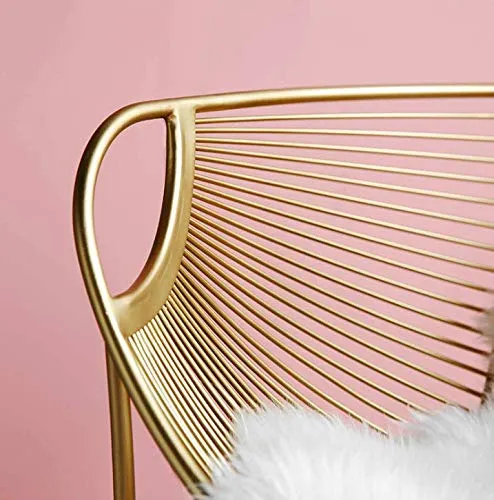 Buque Fauteuil de salle à manger en fil métallique Doré Édition limitée