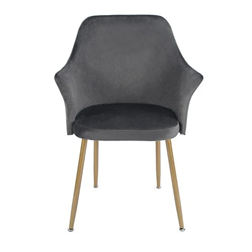 DORAFAIR Fauteuil en Tissu Velours Rétro, Fauteuil rembourré pour Salle à Manger Salon Mobilier Moderne de Bureau,Velours avec Pattes en Métal en Finition Spray Gold,Gris