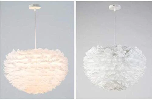 1yess Plume de la Lampe Nordique Chambre Natural Ended Moderne Simple Salle à Manger Chambre créative Plume de la Lampe (Couleur : Blanc, Taille : 60 x 60 cm) (Couleur : Blanc)