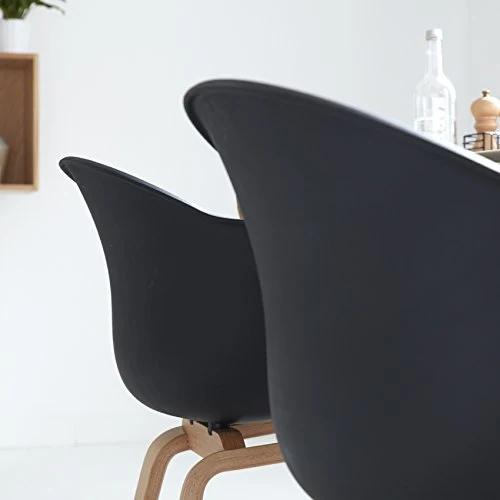 Damiware Romeo Lot de 2 chaises avec accoudoirs Tendance rétro Salle a Manger- (Noir)