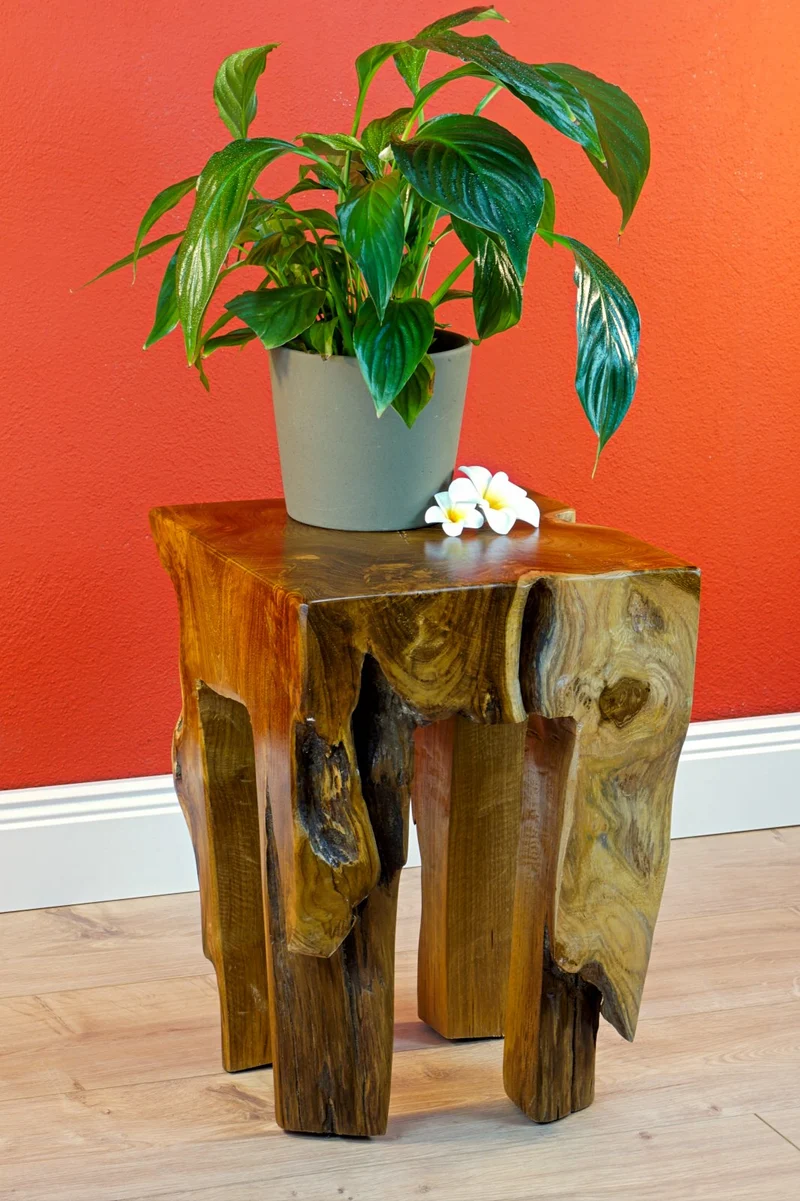 Kinaree HAPO Table d'appoint en Teck Massif en Bois de Racine