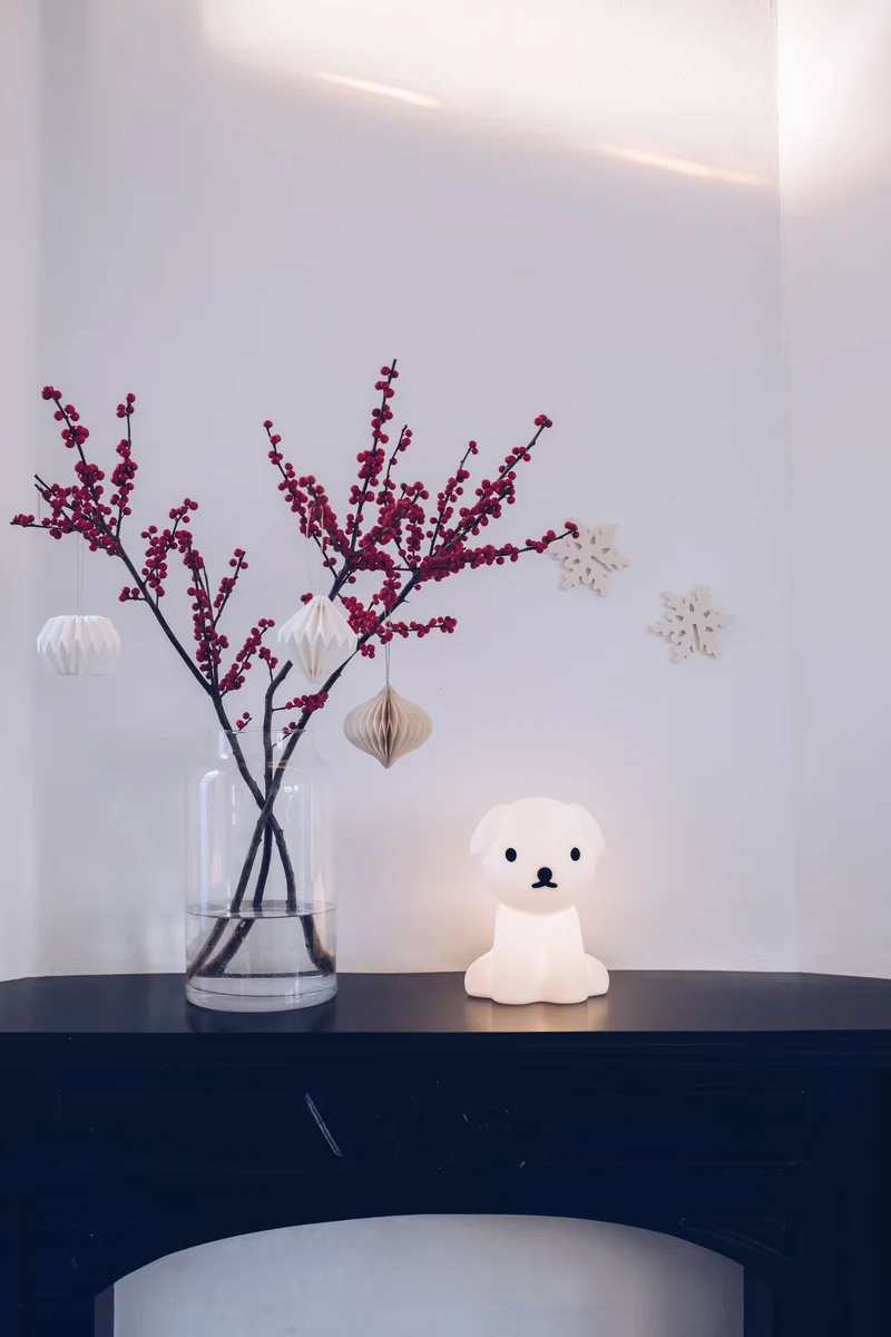 Lampe Schnuffy First Light