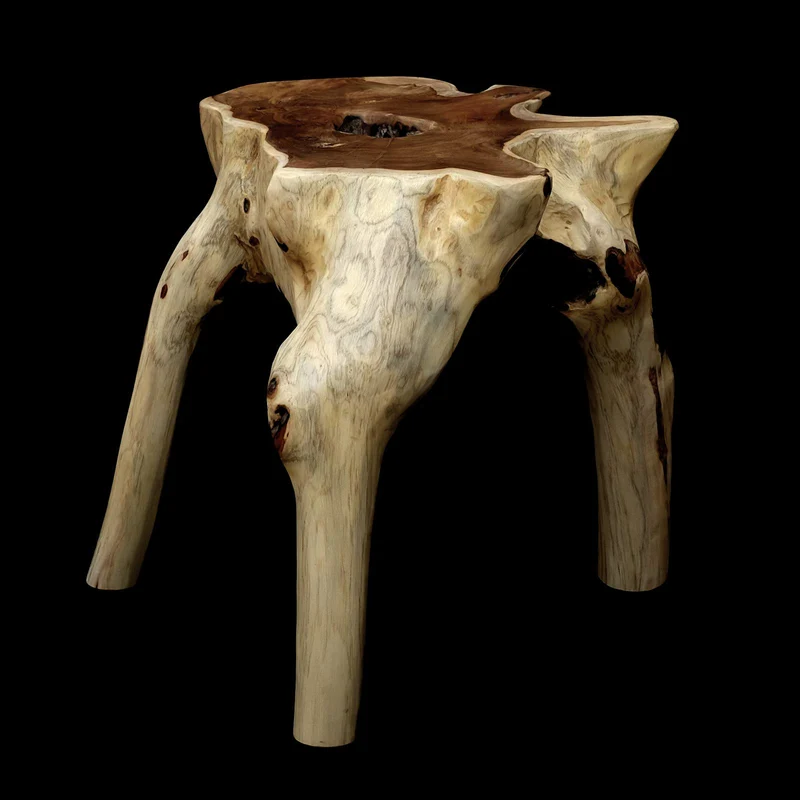 Brillibrum Racine Table en Teck - Table en Un Seul Morceau - Très Massif et Un Absolu Unique - Fleur de Fleurs Tabouret Tabouret Table Basse - Une Idée de Cadeau Bois Bois Massif