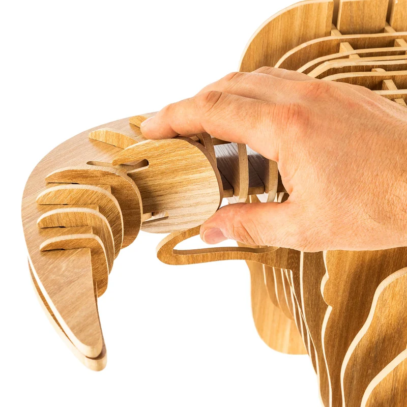 bambuswald Tête d'animal en Bois - Trophée/Décoration en Optique 3D - Taureau 48x36x30 pour Chambres d'enfants, Chambres d'enfants et Chambres de bébé | + Manuel Allemand
