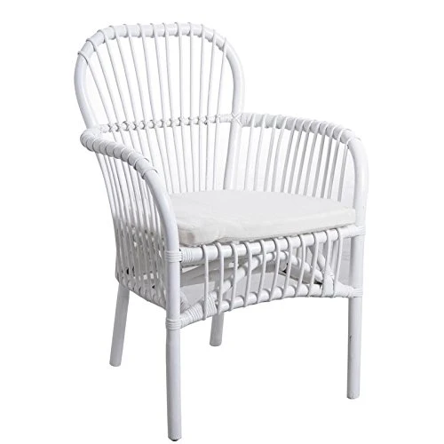 AUBRY GASPARD Fauteuil en rotin Blanc avec Coussin