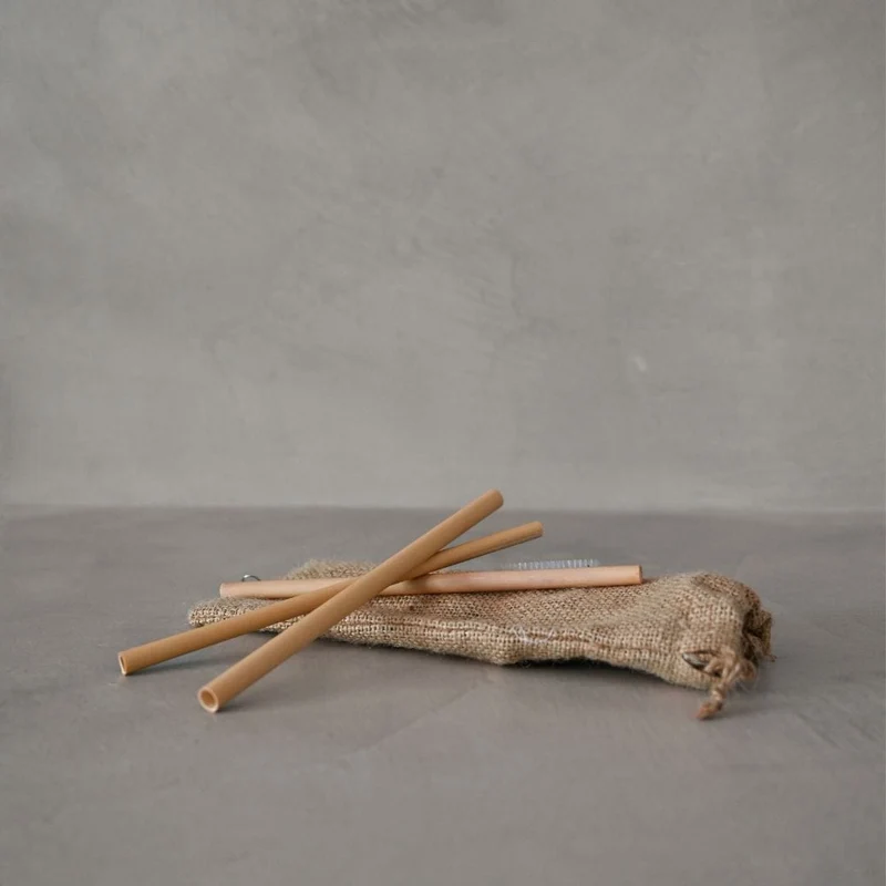 Bamboo straw | Set of 3