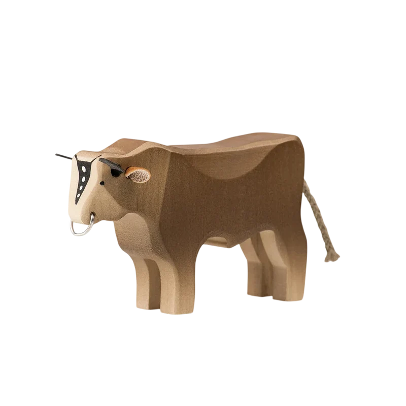Trauffer Stier 1 Braunvieh