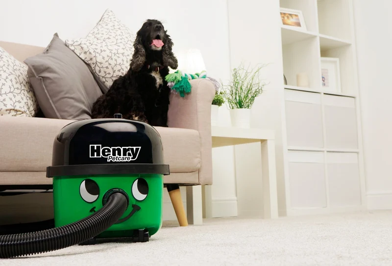 Aspirateur Numatic à poussières HENRY PETCARE 160 (9L)