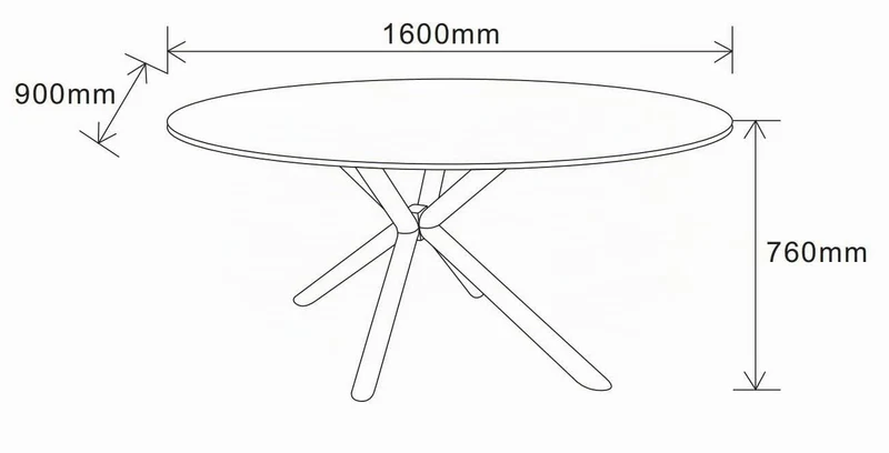 Casa Vital Melisana Table de salle à manger ovale en pierre frittée avec pieds en métal Noir mat 160 x 90 x 76 cm Charge maximale 50 kg