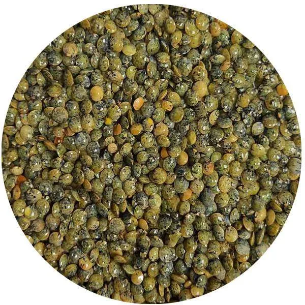 Lentilles vertes 1kg