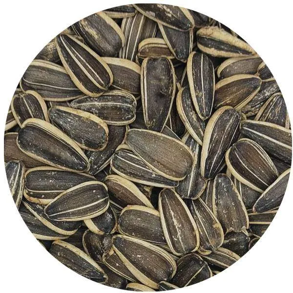 Pépites de tournesol grillées salées