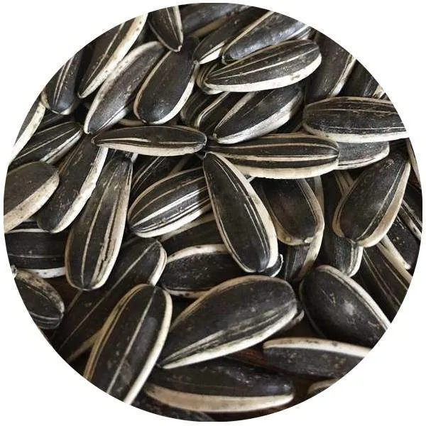 Pépites de tournesol grillées sans sel 250gr