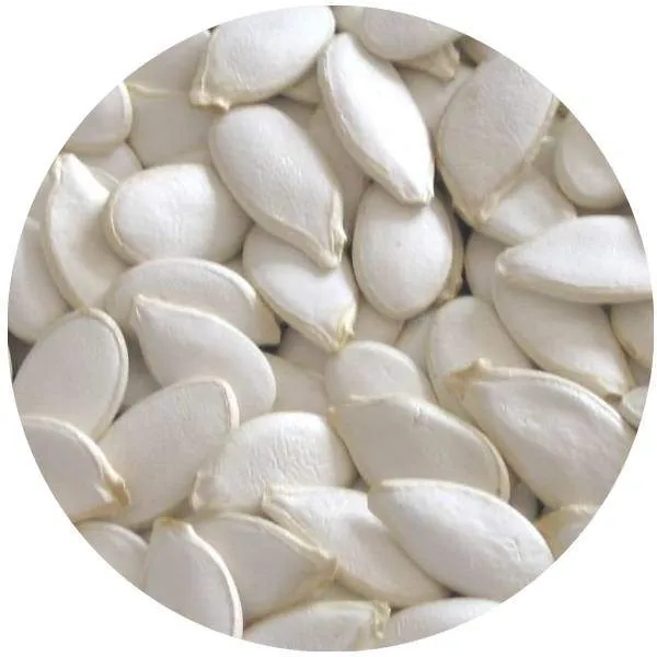 Pépites blanches grillées salées