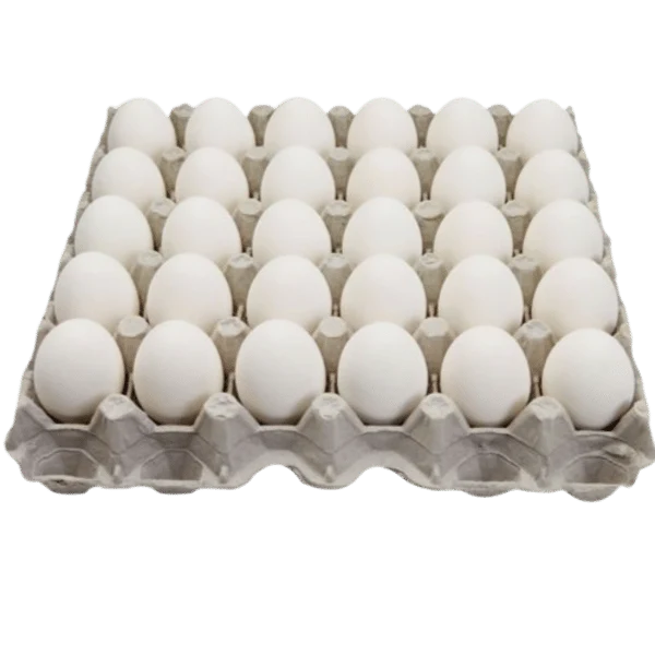Oeufs frais moyens blancs - plateau de 30