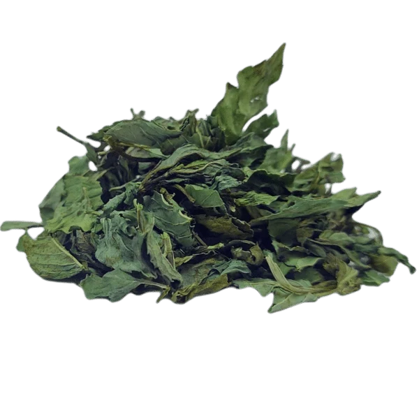 Menthe 40gr