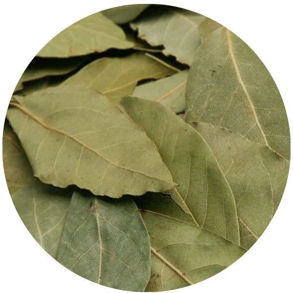 Laurier feuilles