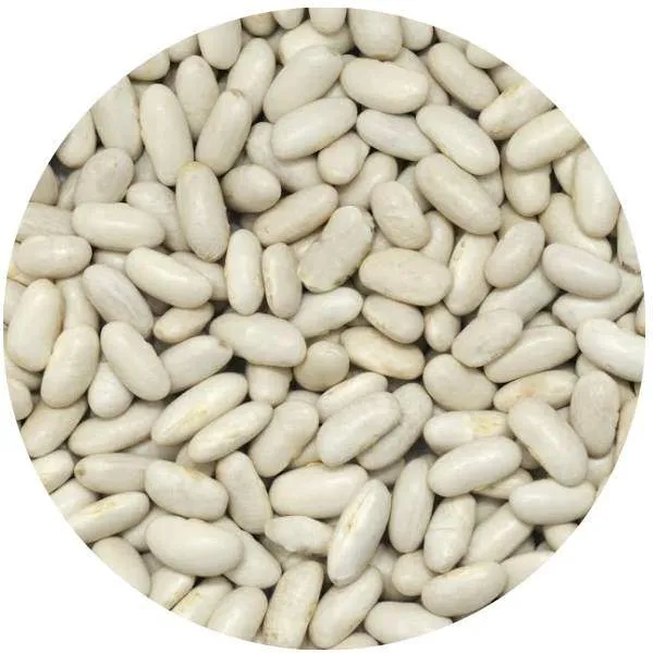 Haricots lingots blancs