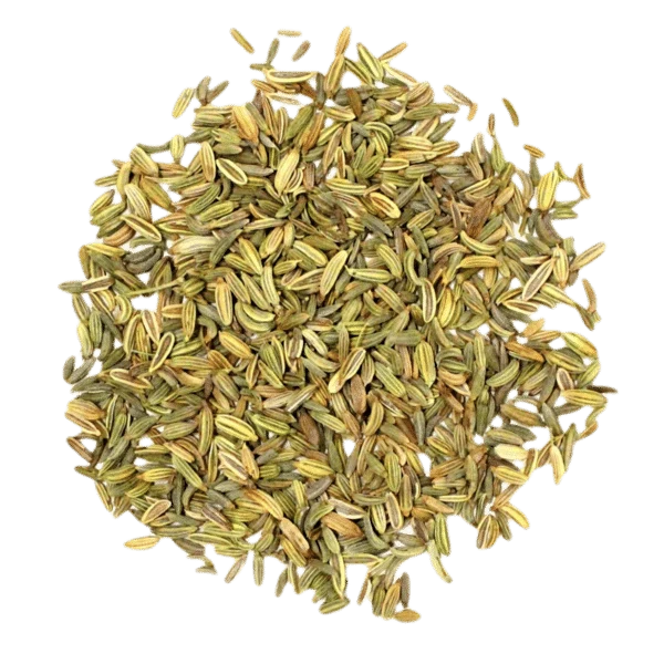 Fenouil entier