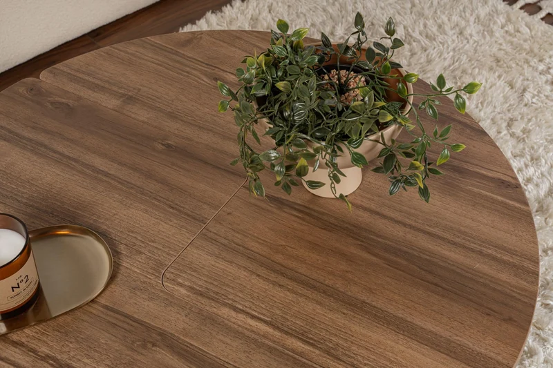 Élégante Table à café en Noyer, diamètre : 90 cm, Hauteur : 41 cm, 100% mélamine, épaisseur : 18 mm, élégante et Durable pour Les espaces de Vie Modernes