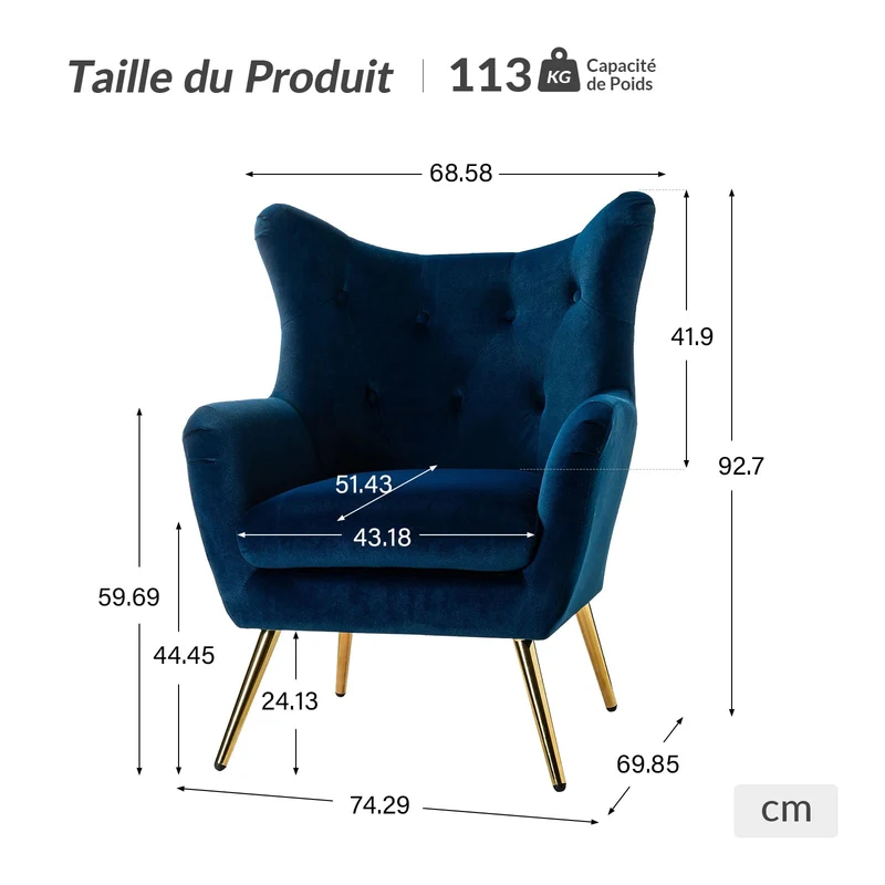 HULALA HOME Fauteuil de lecture confortable, à oreilles, rembourré, avec pieds en métal doré, confortable, en velours, pour salon, chambre à coucher, bleu