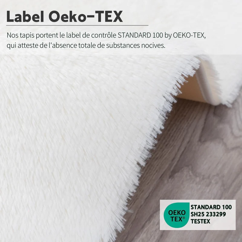 CEYIRO Tapis Salon Tapis Chambre 160x230CM, Dessous Antidérapant, Doux Moelleux (Blanc, 160x230cm)