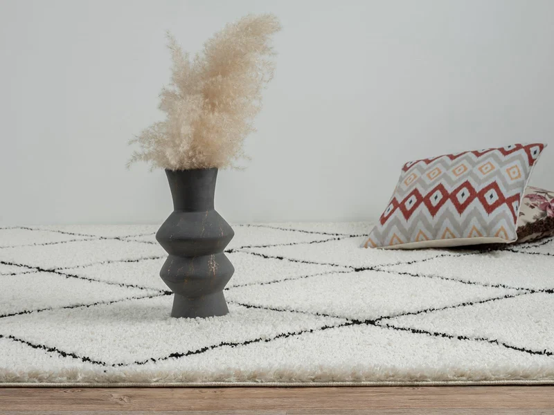 the carpet Bahar Shaggy Tapis de Salon élégant à Poils Longs, Doux et Facile d'entretien, crème/Noir, 160 x 230 cm
