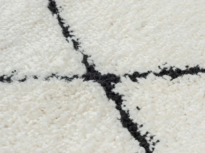 the carpet Bahar Shaggy Tapis de Salon élégant à Poils Longs, Doux et Facile d'entretien, crème/Noir, 160 x 230 cm