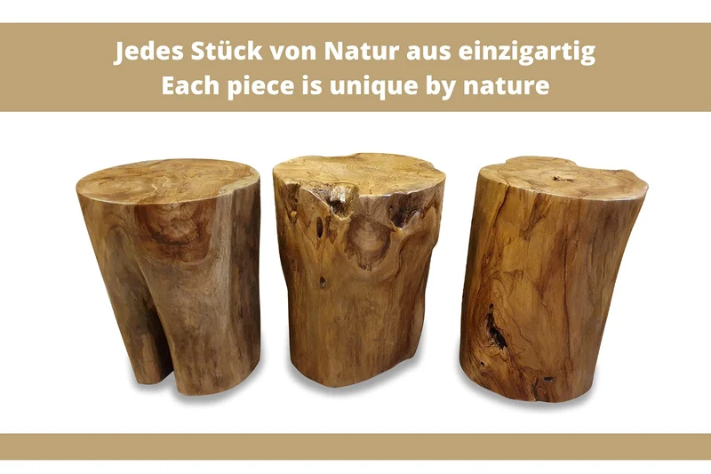 Table d'appoint TOBELO en bois de racine - 40 cm - Tabouret à fleurs - Support pour le salon, le jardin d'hiver ou la terrasse et le jardin
